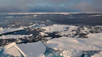 Arktični ocean brez ledu pomeni manj kot milijon kvadratnih kilometrov ledene površine (ANSA)