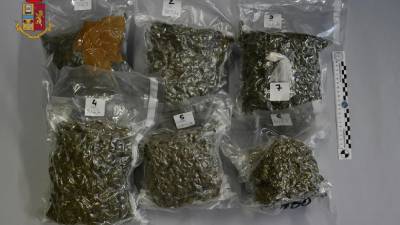 Marihuana, ki so jo našli v avtomobilu 40-letnega C.S. (POLICIJA)