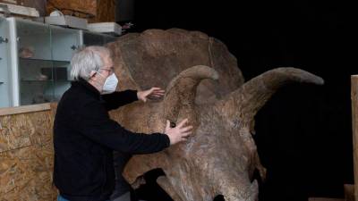 Pravi jurski park v malem