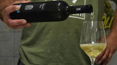 Na degustacijah bodo kraljevala lokalna vina (ARHIV)