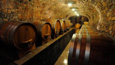 Sodi v kleti kmetije Zidarich v Praprotu (ARHIV)