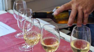 Predavanje in pokušnja za boljše poznavanje vin (ARHIV)