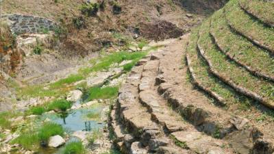 V Grojnici pri Gorici je vode le za vzorec (BUMBACA)