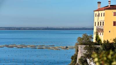 Ob devinski obali gojijo brancine in orade