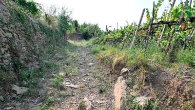 Del so se lotili konec leta 2022, nato je vse zamrlo (FOTODAMJ@N)