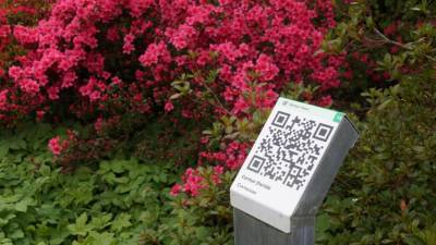 QR kode nudijo obiskovalcem dodatne informacije (BUMBACA)