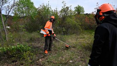 Čiščenje kraške gmajne pri Štivanu (FOTODAMJ@M)