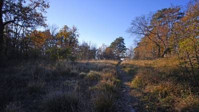 Po zakonu naj bi skupno lastnino upravljali jusarji, a se hudič skriva v podrobnostih