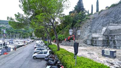 Okoljevarstveniki se zoperstavljalo sečnji borov v Grljanu