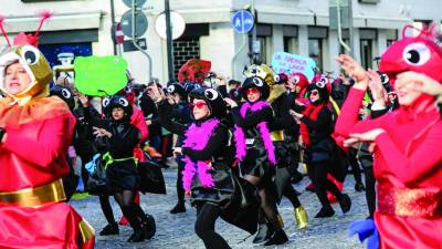 Kriške mravlje so zaplesale že v Gorici (BONAVENTURA/TIBALDI)