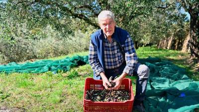 »Belica se je z listi prilagodila burji«