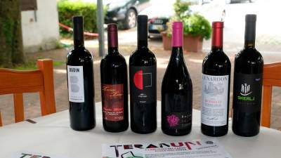 Društvo vinogradnikov s Krasa bo aktivno soudeleženo pri slovensko-italijanskem omizju za priznanje in zaščito čezmejne vinske označbe DOP Teran (FOTODAMJ@N)