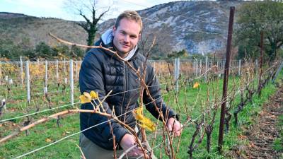 Rok Ota v svojem vinogradu (FOTODAMJ@N)