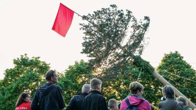 Lansko dviganje maja v Prebenegu (LUCA TEDESCHI/FOTODAMJ@N)