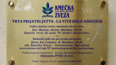 Ob 70-letnici Kmečke zveze trta prijateljstva in nova etiketa prosekarja
