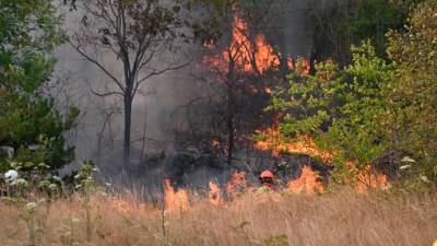 Ogenj pri Temnici (FOTODAMJ@N)