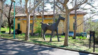 Konj Marco, simbol Basaglieve revolucije (FOTODAMJ@N)