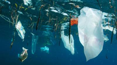 V Sredozemlje konča 229 tisoč ton plastike letno ali 500 kontejnerjev na dan (WWF)