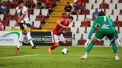 Krompirjevo polje na stadionu med tekmo proti Trentu (Fotodamj@n)