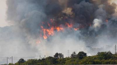 Požar na območju Medjevasi julija letos (FOTODAMJ@N)