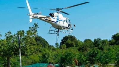 Med Martinščino in Zagrajem plameni »požrli« 2,8 hektarja gmajne