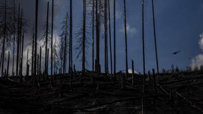 Požar, ki pustoši v narodnem parku na vzhodu Nemčije, se je začel na Češkem (ANSA)