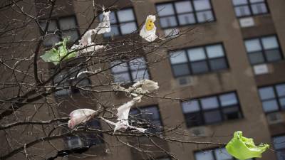 Plastične vrečke na vejah dreves v New Yorku (AP)