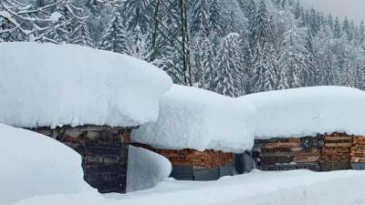 Nekdanje obilno sneženje v Karniji (ANSA)