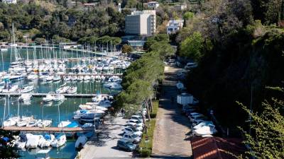 Tudi v južnem delu Grljana bi bili morali ohraniti drevesa (ARHIV)