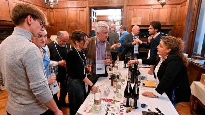 Festival Teranum (FOTODAMJ@N)