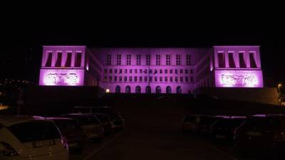 Rožnato osvetljena glavna univerza v Trstu (FOTODAMJ@N)