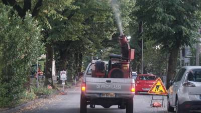 Dezinsekcija v Gorici na arhivskem posnetku