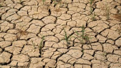 Posledica klimatskih sprememb so tudi vse pogostejša sušna obdobja in spremembe v razporeditvi padavin (ANSA)