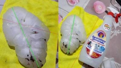 Rekordno zrno toče (MARILENA TONIN/ANSA)