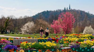 Arboretum Volčji potok (ARBORETUM)