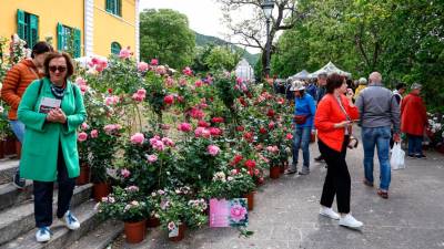 Prireditev Horti Tergestini (FOTODAMJ@N)
