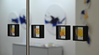 Razstava colour blockings III (FotoDamj@n)