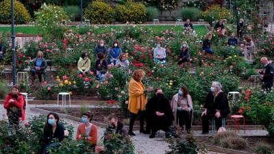 Občinstvo v idiličnem objemu vrtnic vseh vrst (FOTODAMJ@N)