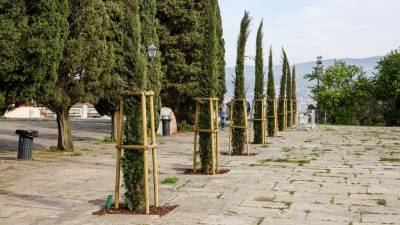 Ciprese krasijo rimski forum pod gradom (L.T./FOTODAMJ@N)