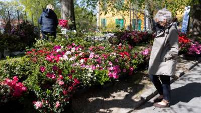 Vrnil se je cvetlični sejem Hoti Tergestini (FOTODAMJ@N)