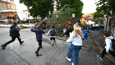 V krošnjo so skočili najmlajši (FOTODAMJ@N)