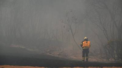Posledice požara v bližini Temnice (FOTODAMJ@N)