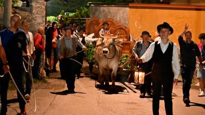 Balo sta s Cola v Repen prepeljala vola