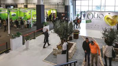 Olio Capitale 2025 (ARHIV)