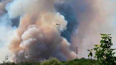 Požar na območju Socerba (ARHIV)