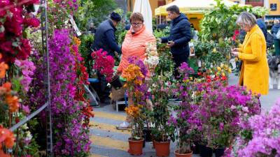 Sejem Horti Tergestini v parku bivše psihiatrične bolnišnice (FOTODAMJ@N)