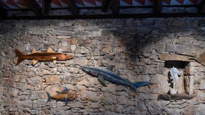Andrea Lodi svoje umetniške ribe ustvarja iz odpadnega materiala ali takega, ki ga naplavi morje (FOTODAMJ@N)