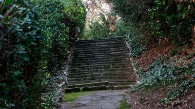 Park Basevi je starejšim in ljudem na vozičku nedostopen (LUCA TEDESCHI/FOTODAMJ@N)