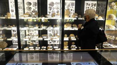 V muzeju Comel so postavili na ogled tri nove zbirke (BUMBACA)