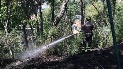 Gasilci na delu v Svetoivanskem parku, kjer se je malo po 13. uri vnelo grmičevje